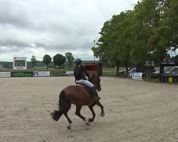 Reitturnier Rot am See- Musdorf 2023