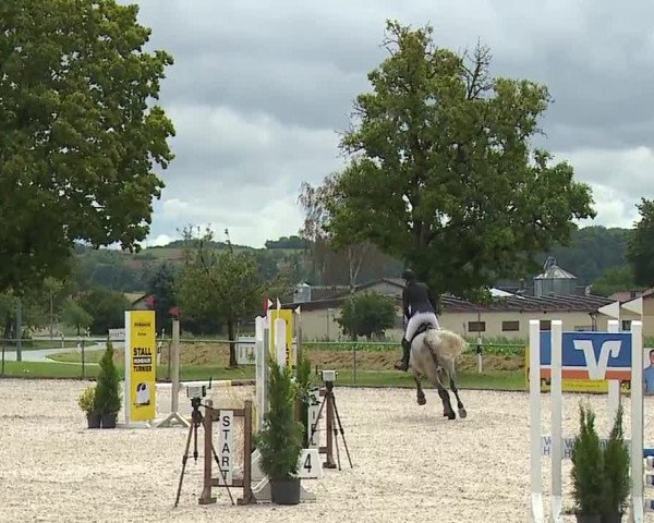 Reitturnier Rot am See- Musdorf 2023