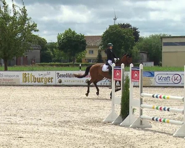 Reitturnier Rot am See- Musdorf 2023