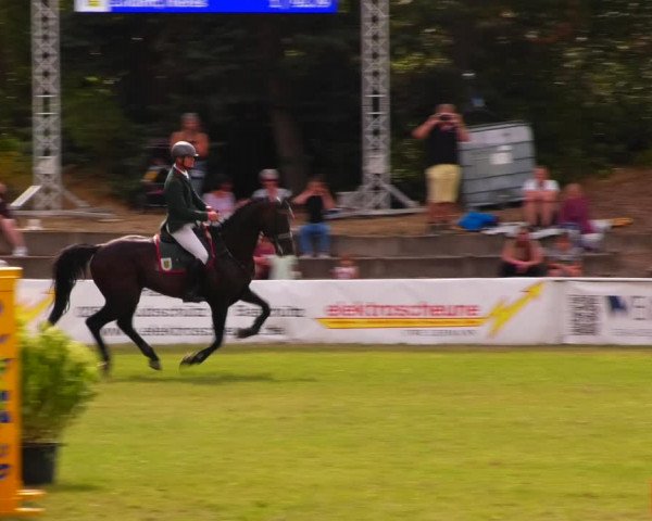 Reitturnier Baschütz bei Bautzen 2023