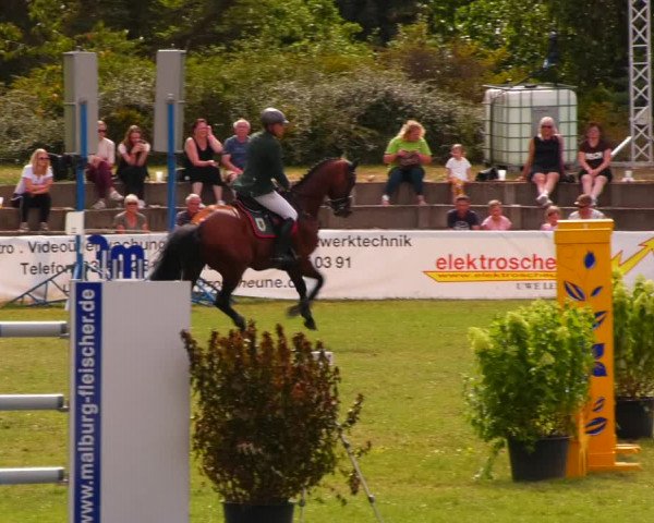 Reitturnier Baschütz bei Bautzen 2023