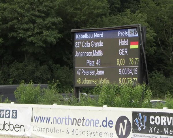 Reitturnier Ladelunder Springtage 2023