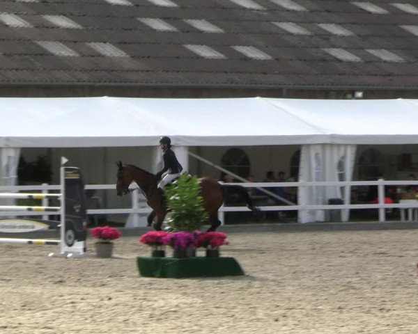 Reitturnier Ladelunder Springtage 2023