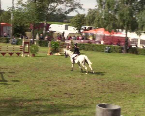Reitturnier Etingen 2023