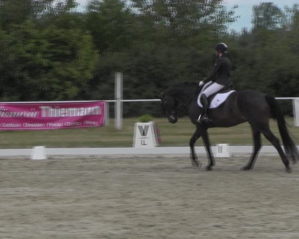 Reitturnier Baschütz bei Bautzen 2023