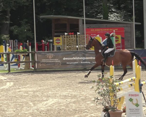 Reitturnier Klein Roscharden 2023