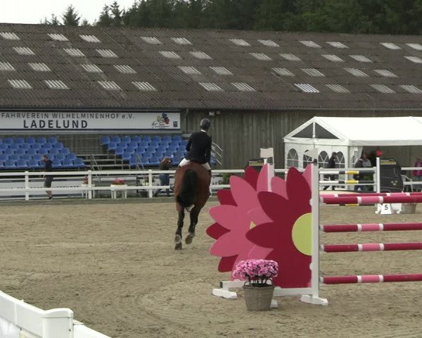 Reitturnier Ladelunder Springtage 2023