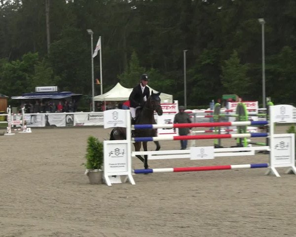 Reitturnier Ladelunder Springtage 2023