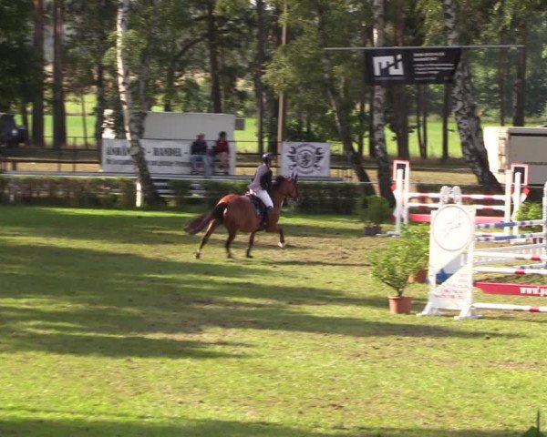Reitturnier Etingen 2023