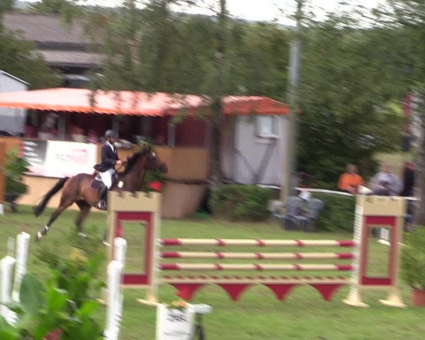 Reitturnier Etingen 2023