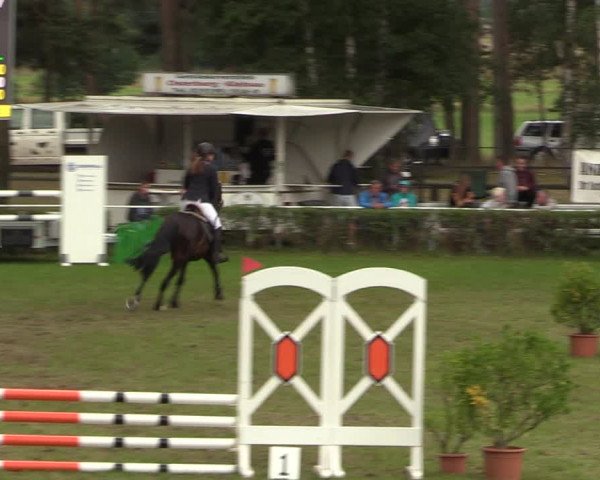 Reitturnier Etingen 2023