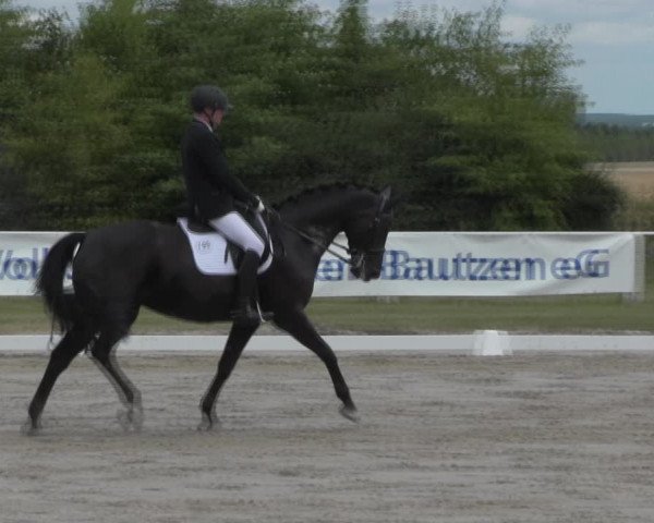 Reitturnier Baschütz bei Bautzen 2023