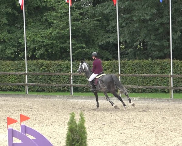 Reitturnier Klein Roscharden 2023