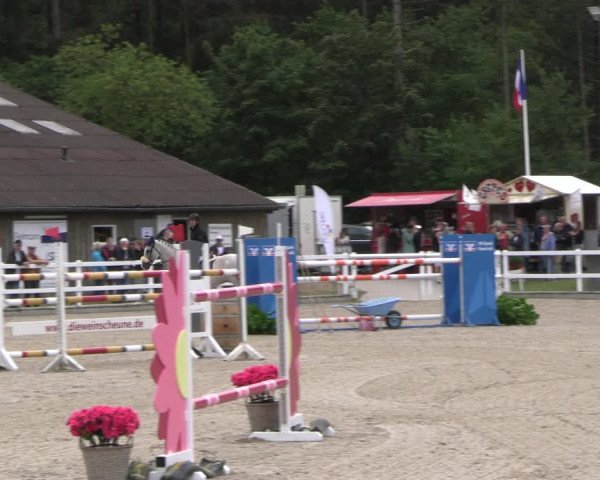 Reitturnier Ladelunder Springtage 2023