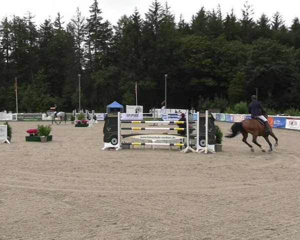 Reitturnier Ladelunder Springtage 2023