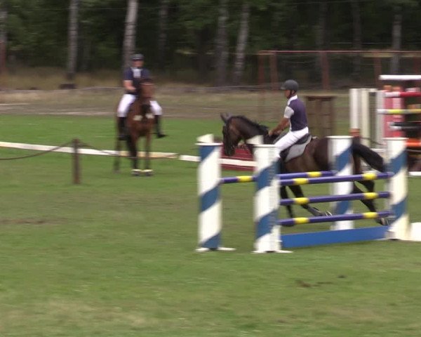 Reitturnier Gallinchen 2023