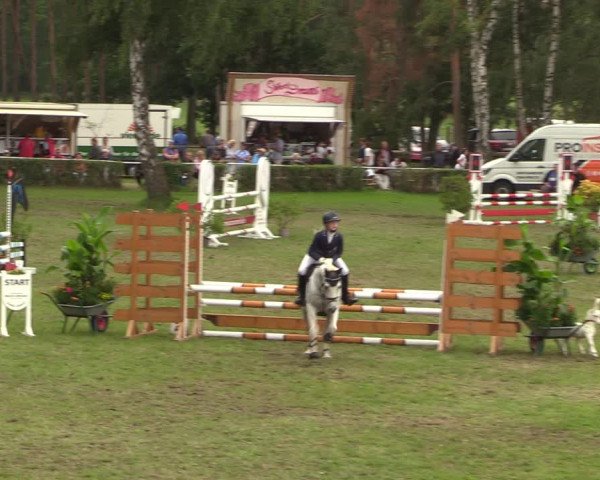 Reitturnier Etingen 2023