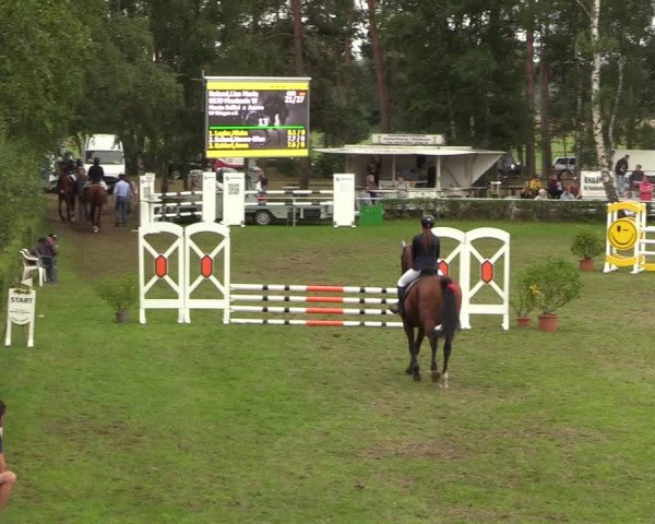 Reitturnier Etingen 2023