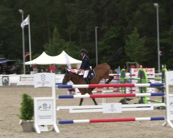 Reitturnier Ladelunder Springtage 2023