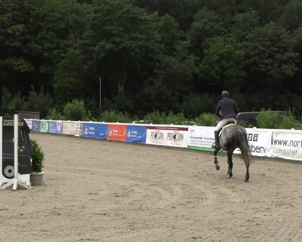 Reitturnier Ladelunder Springtage 2023