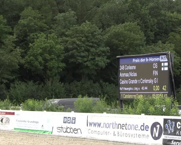 Reitturnier Ladelunder Springtage 2023
