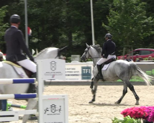 Reitturnier Ladelunder Springtage 2023