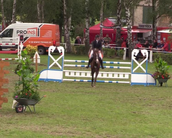 Reitturnier Etingen 2023