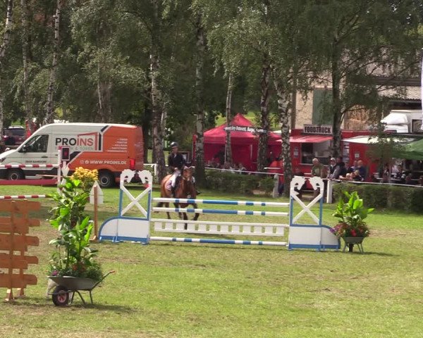 Reitturnier Etingen 2023