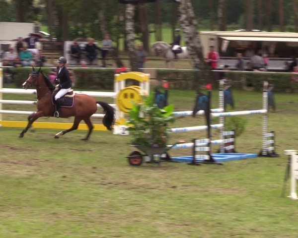 Reitturnier Etingen 2023