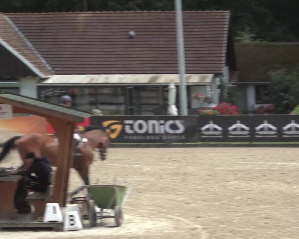 Reitturnier Klein Roscharden 2023