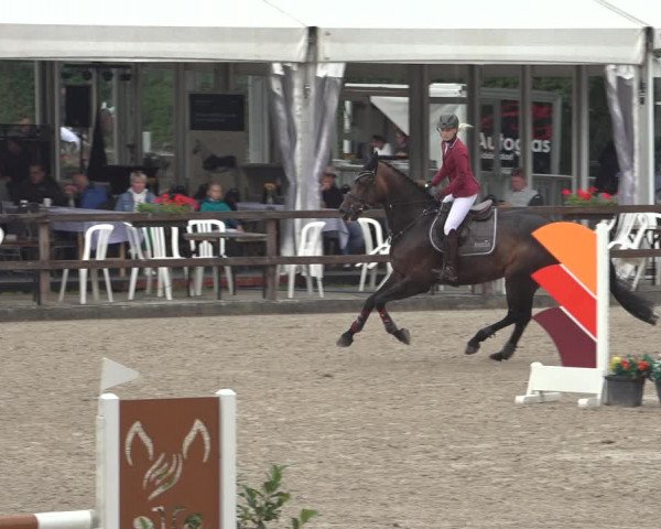 Reitturnier Klein Roscharden 2023