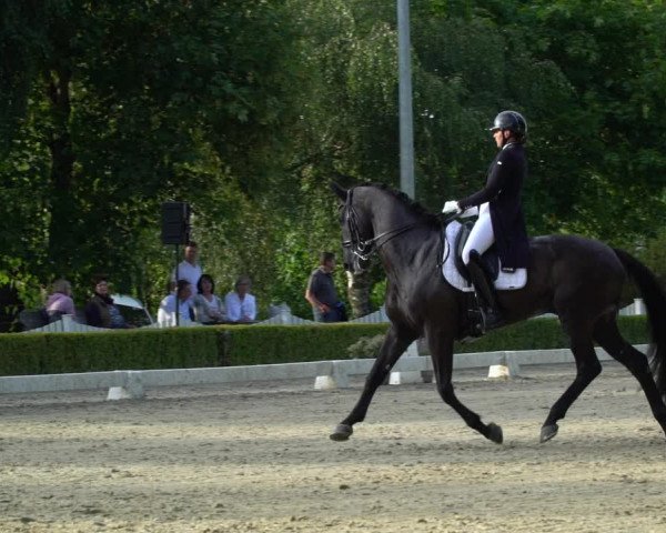 Reitturnier Neu-Anspach / Wintermühle 2023