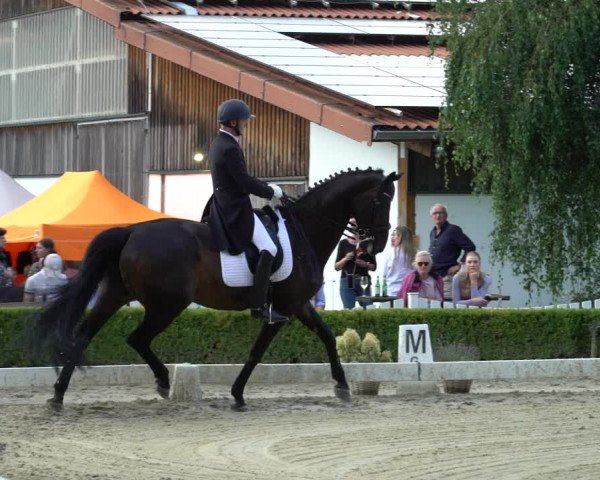 Reitturnier Neu-Anspach / Wintermühle 2023