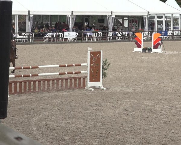 Reitturnier Klein Roscharden 2023