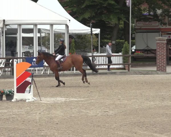 Reitturnier Klein Roscharden 2023