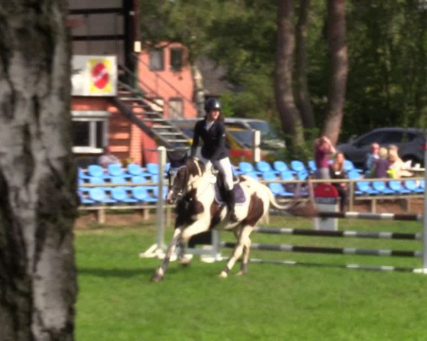 Reitturnier Dannenberg 2023