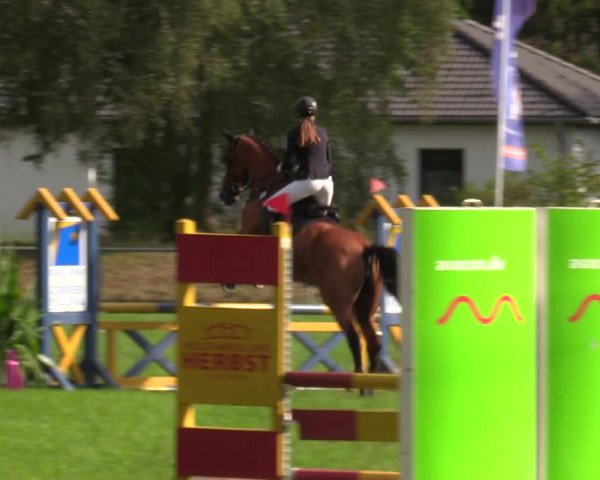 Reitturnier Dannenberg 2023