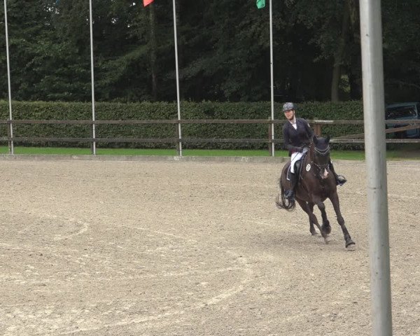 Reitturnier Klein Roscharden 2023