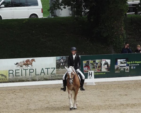 Talents of Tomorrow - Stadl Paura 2023
