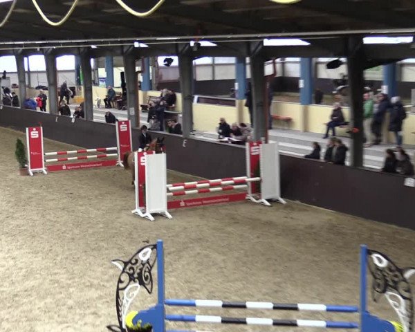 23. Legdener Ponymeeting 2021