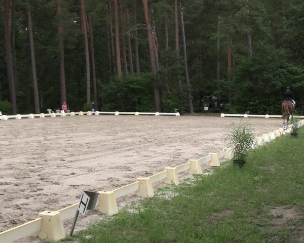 Reitturnier Dannenberg 2023