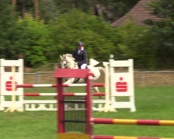 Reitturnier Dannenberg 2023