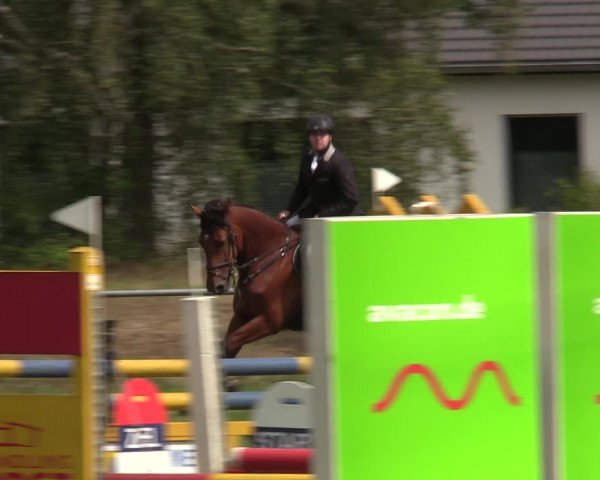 Reitturnier Dannenberg 2023