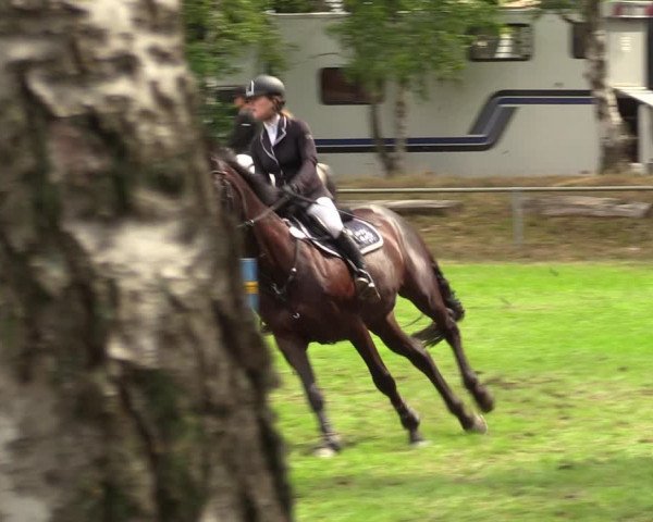 Reitturnier Dannenberg 2023