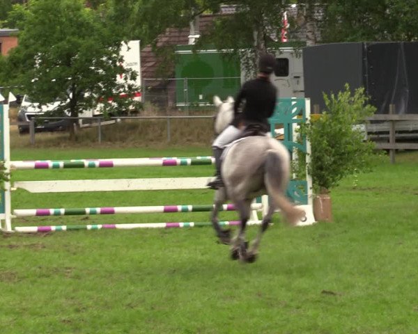 Reitturnier Dannenberg 2023