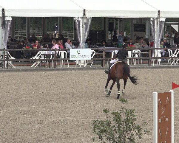 Reitturnier Klein Roscharden 2023