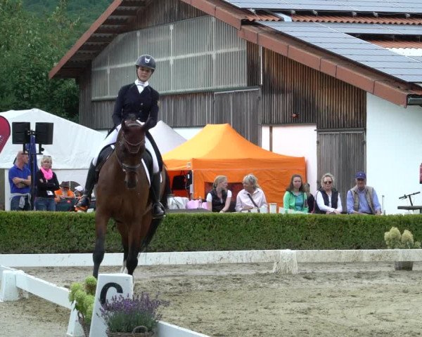 Reitturnier Neu-Anspach / Wintermühle 2023