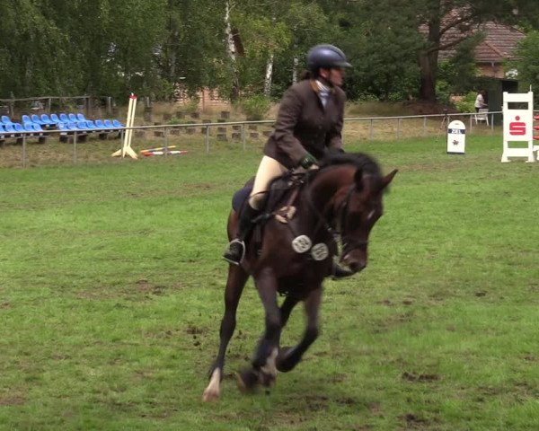 Reitturnier Dannenberg 2023