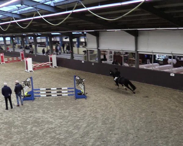 23. Legdener Ponymeeting 2021