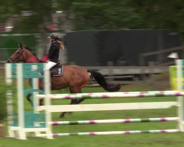 Reitturnier Dannenberg 2023